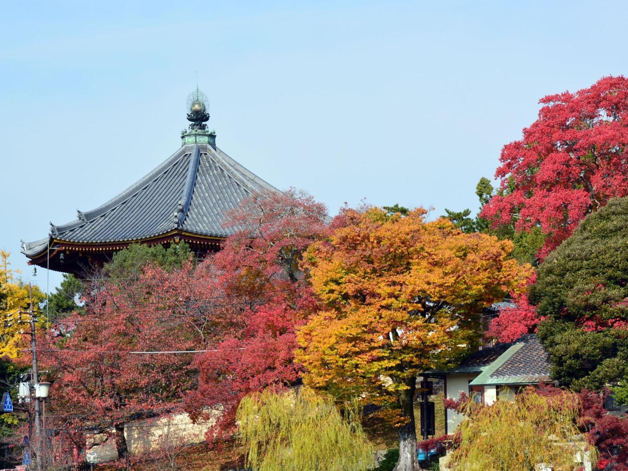 Nara - Hotel / Vacation Stay 47950 Luaran gambar