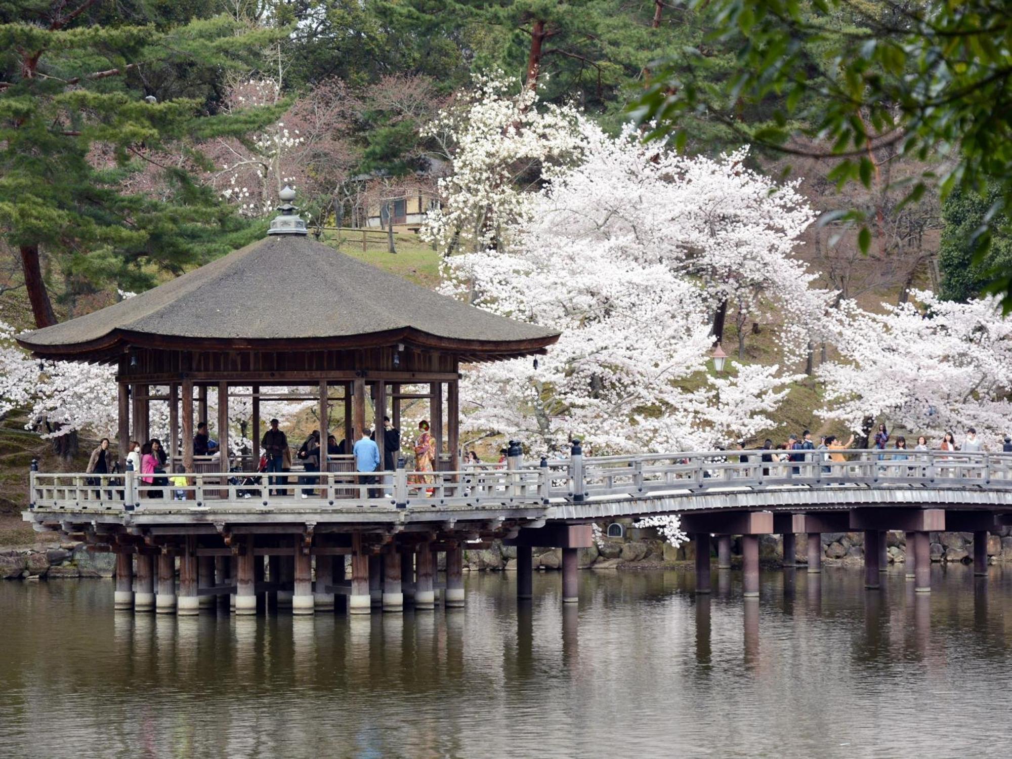 Nara - Hotel / Vacation Stay 47950 Luaran gambar